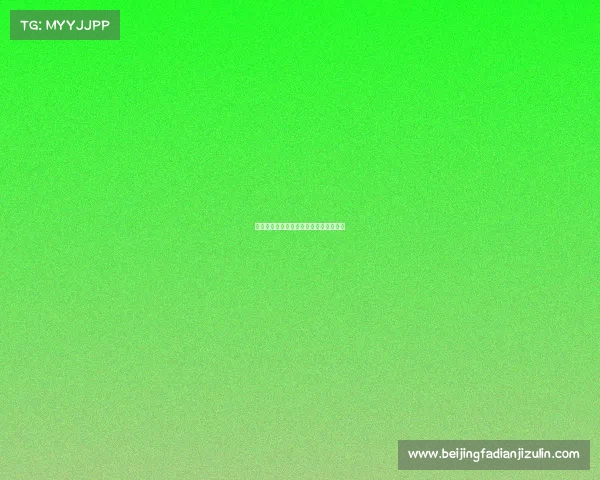 嶺东资讯赛事直播岭东资讯赛事直播网址